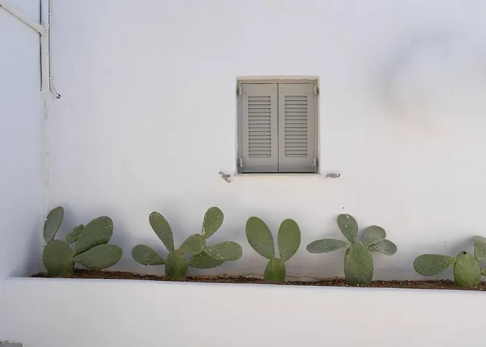 White W3 New In נאוסה